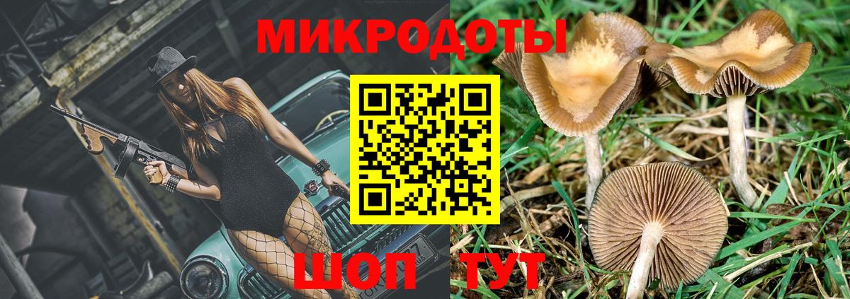 Псилоцибиновые грибы Cubensis Саянск