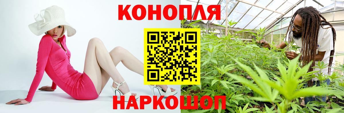 Бошки марихуана SATIVA & INDICA  Бошки марихуана планчик  Саянск  Вход с VPN 